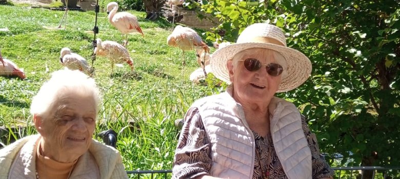 Ausflug in den Zoo Landau