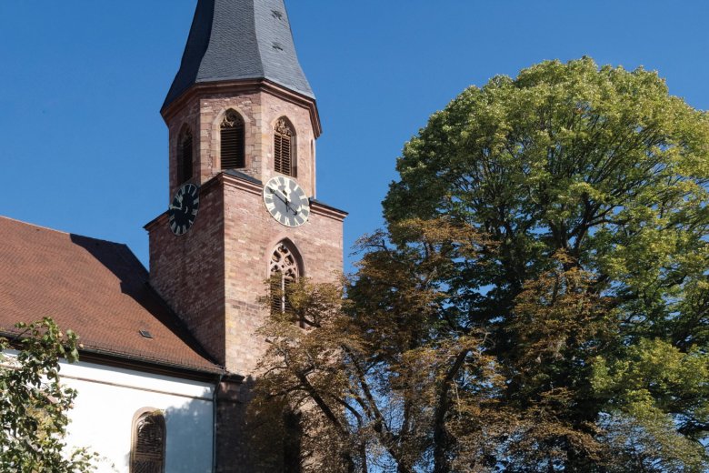 St. Maria Himmelfahrt Ein mittelalterlicher Turm, ein spätgotischer Chor und ein barockes Langhaus verschmelzen zu einem architektonisch faszinierenden Kirchenbau.