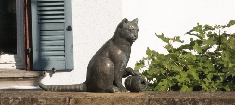 Waschplatz Auch Katzen tummeln sich gerne am Waschplatz.