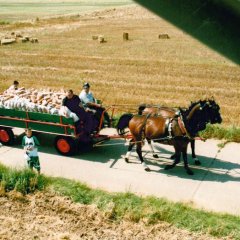 Fahrt auf die Gewanne "Finsterfeld"