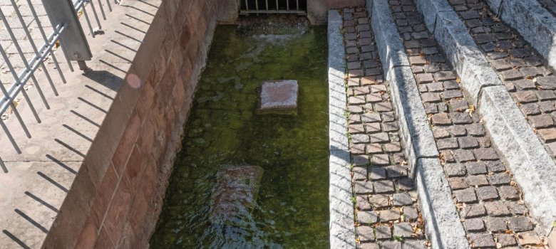 Dorfbächel Das Dorfbächel prägte Herxheims Ortsbild über mehrere Jahrhunderte. Seit 1992 erinnert ein Denkmal an seine Geschichte.